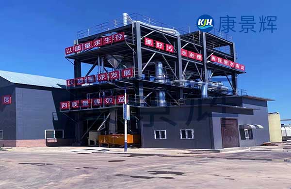 我需要采購mvr蒸發器，能處理硫酸鈉和硫酸銨廢水，一天300噸，有哪些廠家可以推薦給我