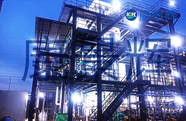 年產(chǎn)131噸化學原料藥及329噸中間體蒸發(fā)結晶系統(tǒng)