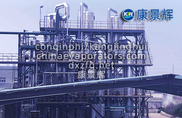 硫酸鋰MVR蒸發(fā)器