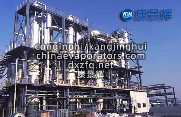 MVR降膜結(jié)晶設備